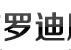 罗迪服装