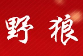 野狼豌豆户外运动