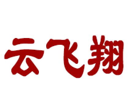 云飞翔商务