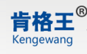 成都肯格王三氧电器设备
