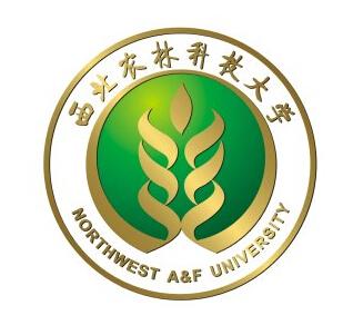 杨凌农科大金诺汽车服务
