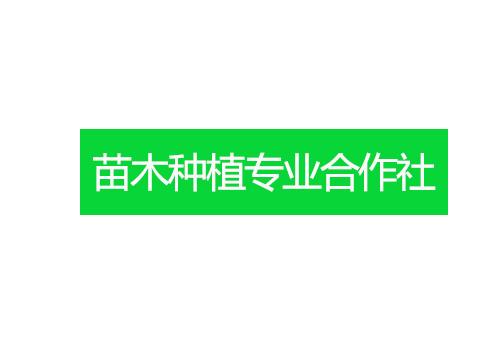 路丰苗木种植专业合作社