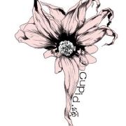 Cupid.颂花艺培训机构