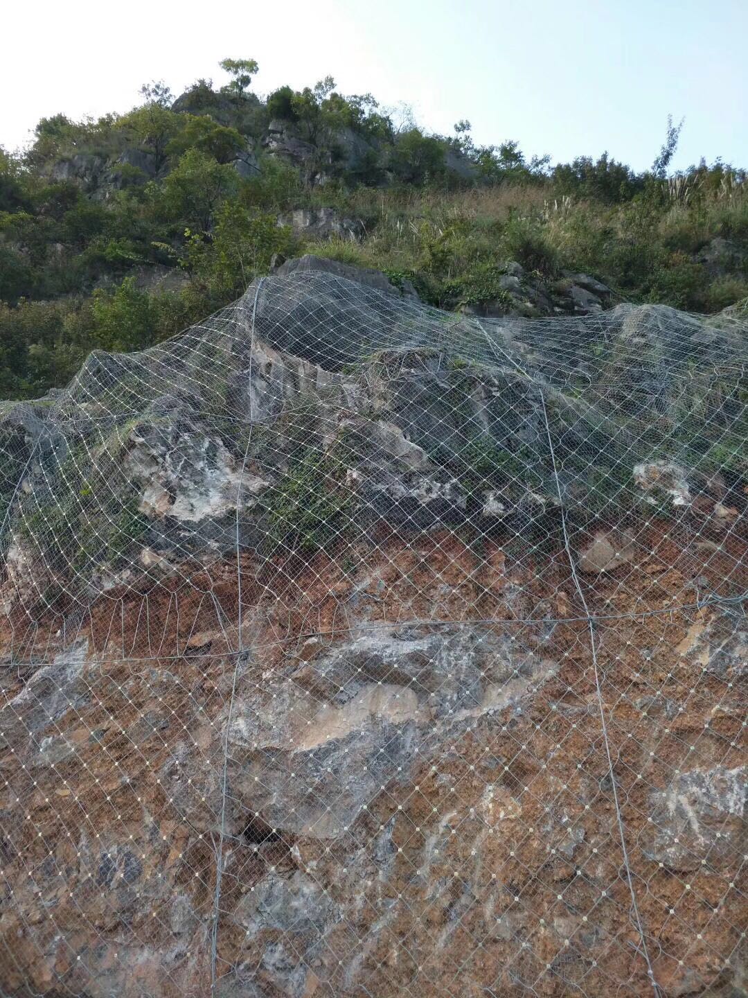 四川越琪科技