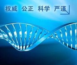 松格基因检测