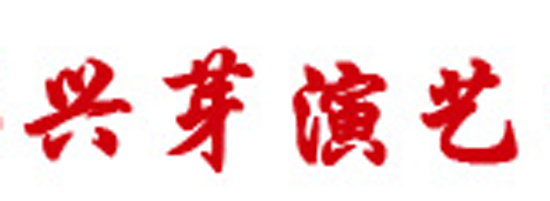 成都兴芽演艺设备租赁
