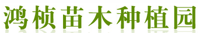 邛崃市鸿桢苗木种植园