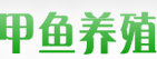 成都市回归甲鱼养殖