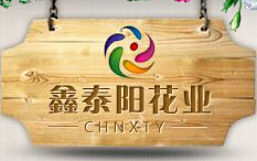 成都鑫泰阳园艺