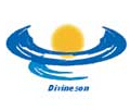 四川帝威圣国际贸易-重庆pvc地板