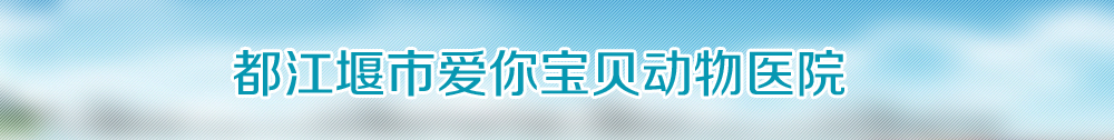 广告