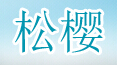 成都松樱科技