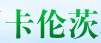 四川卡伦茨科技