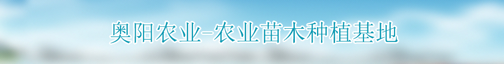 广告