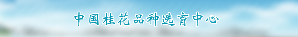 广告
