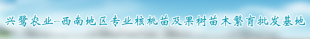 广告