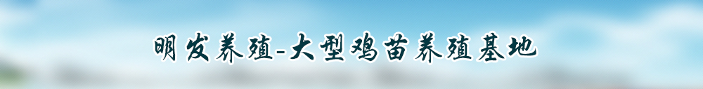 广告