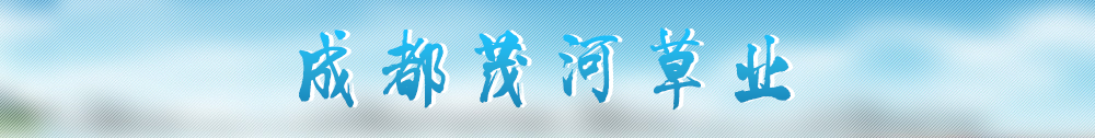 广告