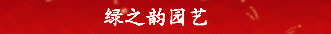 广告