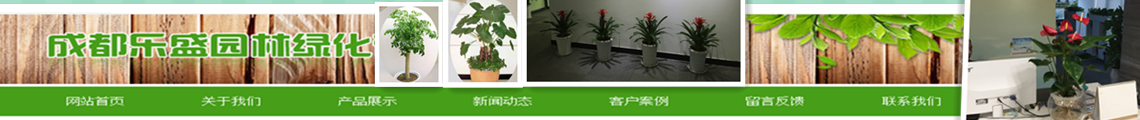 广告