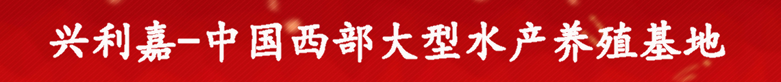 广告