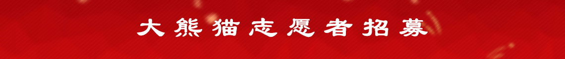 广告