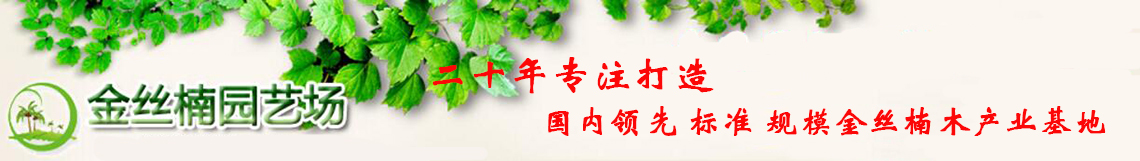 广告