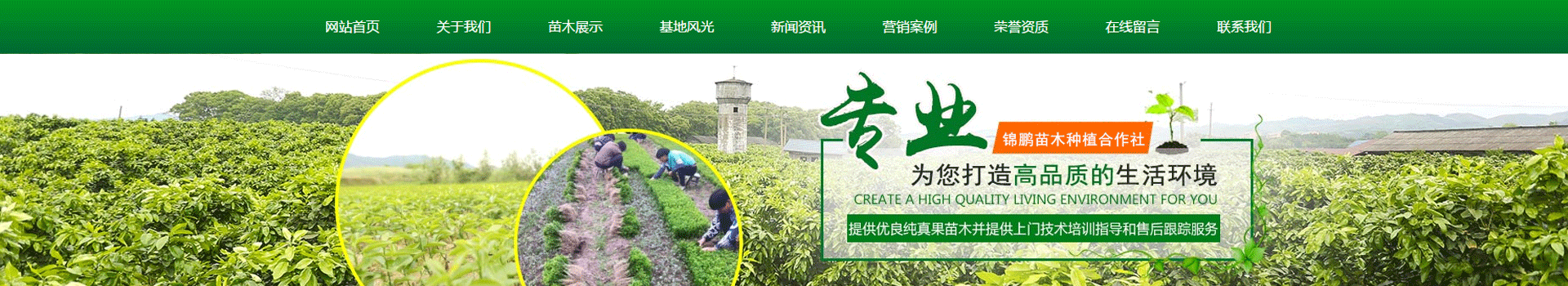 广告