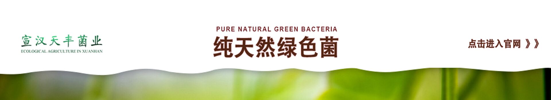 广告