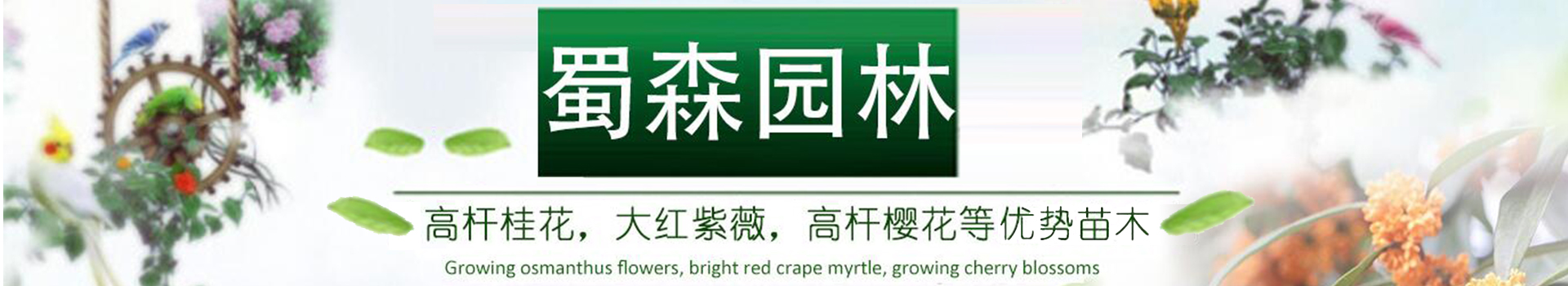 广告