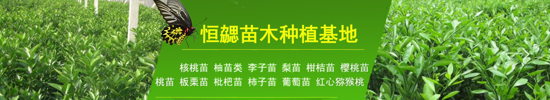 广告