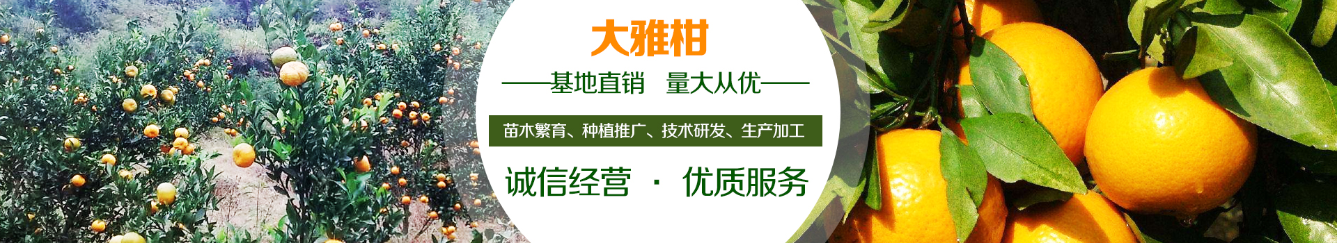广告