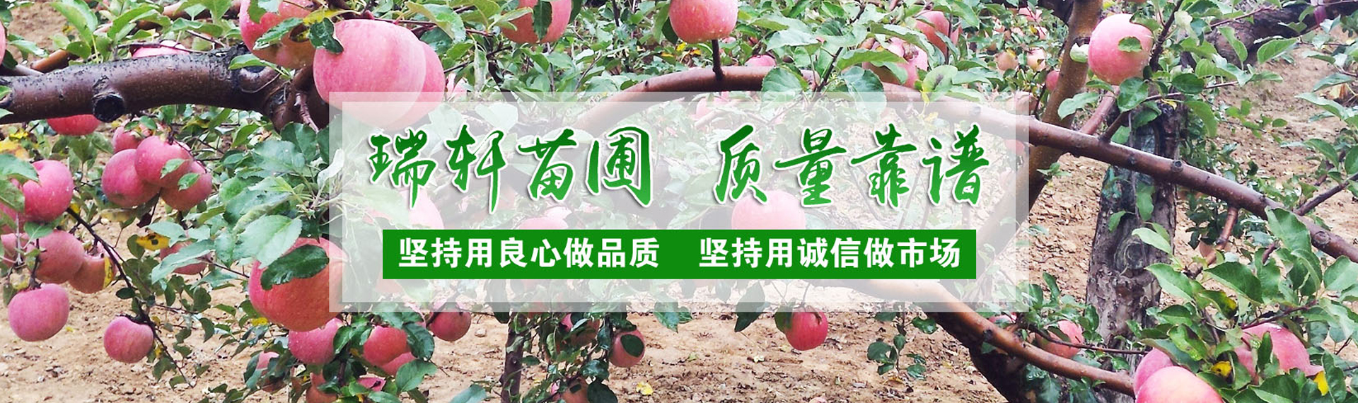 广告