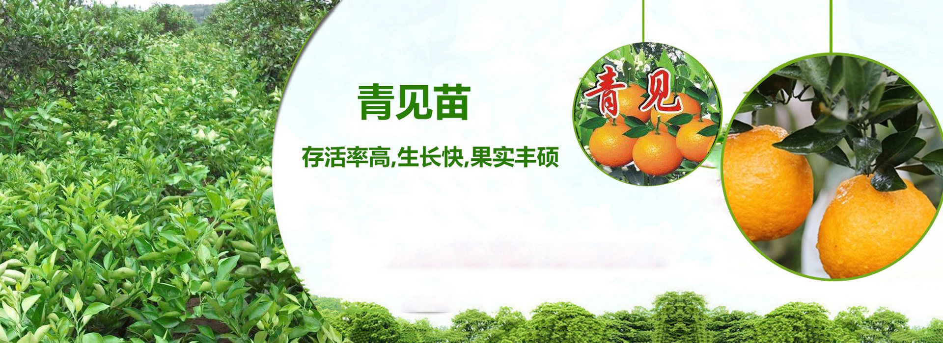 广告