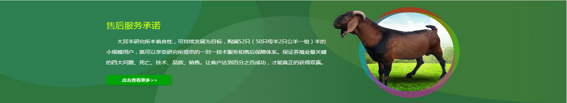 广告