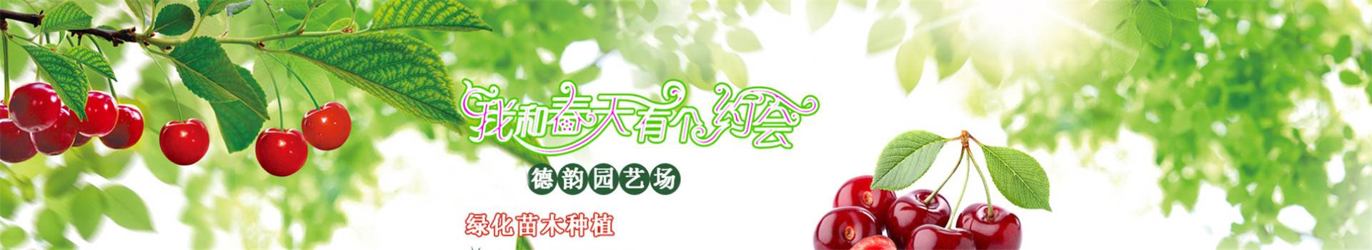 广告