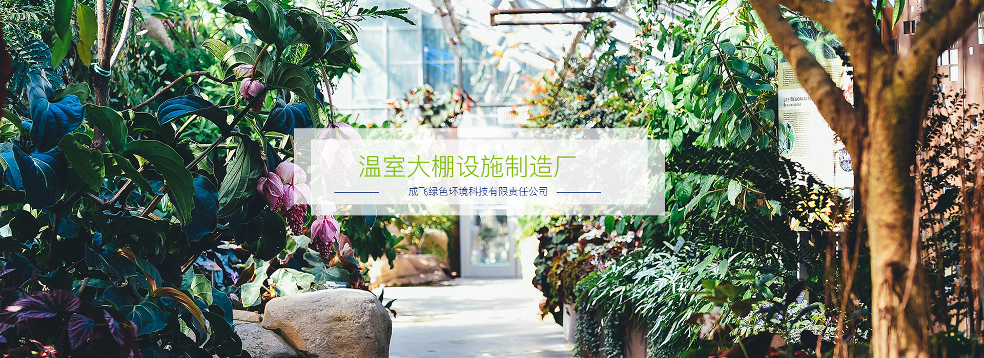 广告