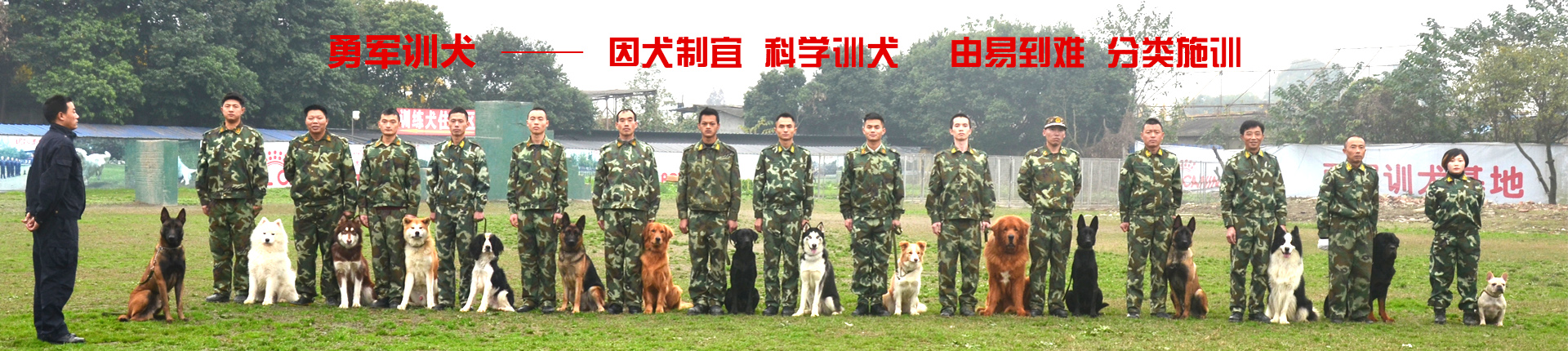 广告