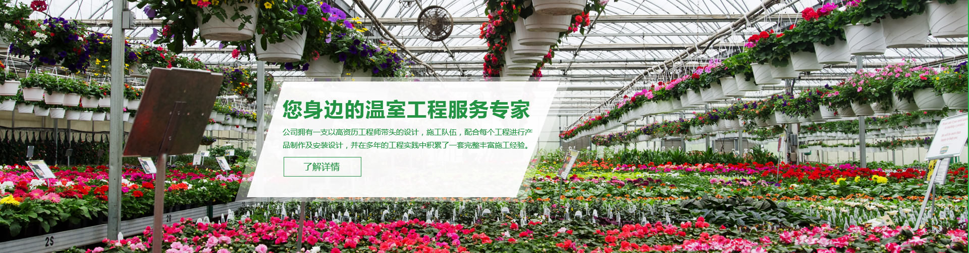 广告