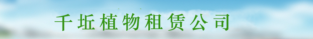 广告