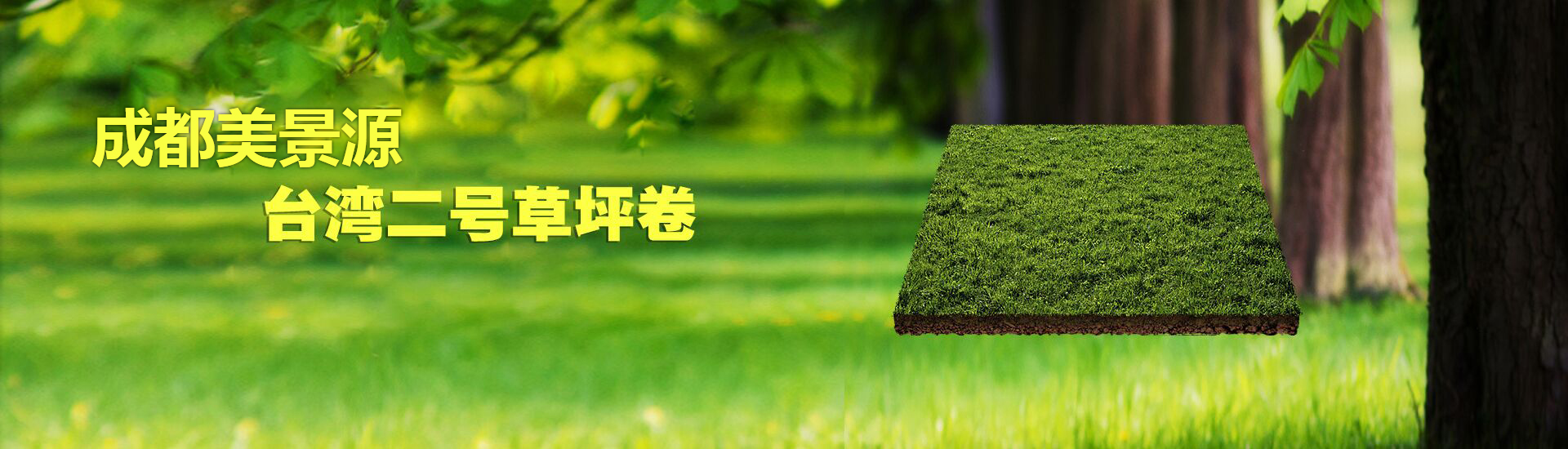 广告