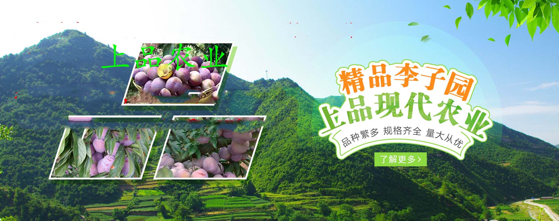 广告