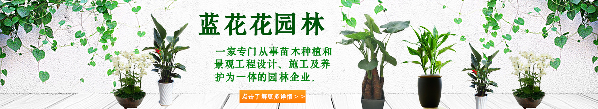 广告
