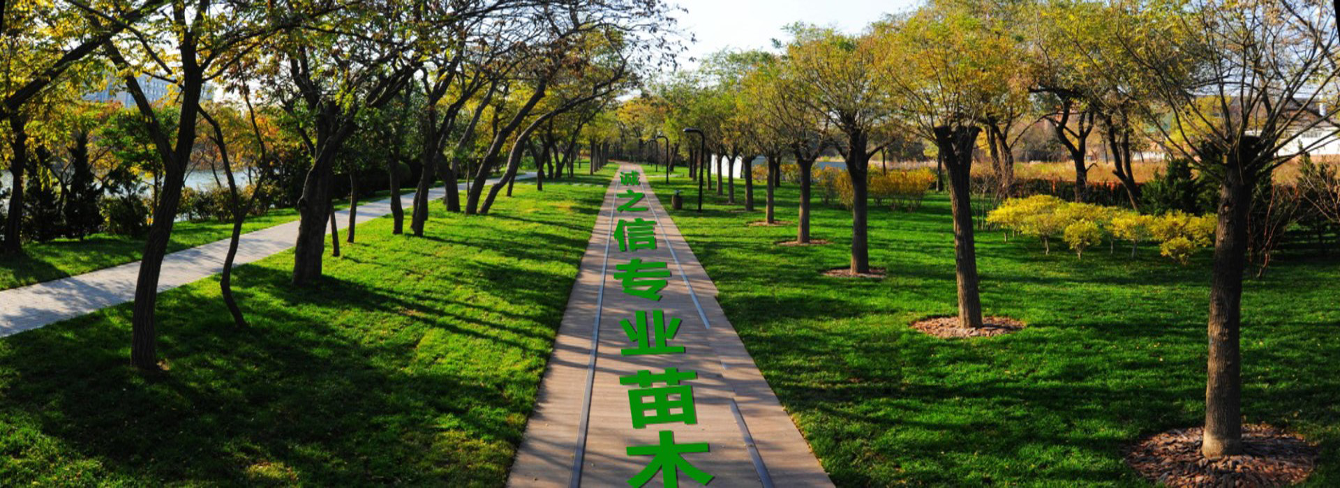 广告