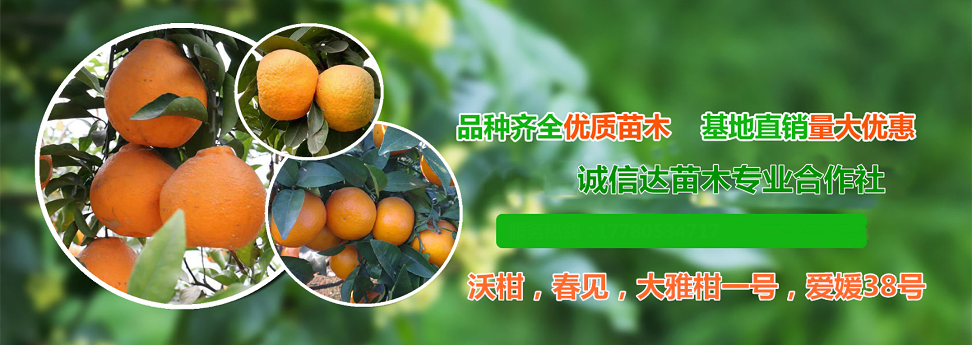 广告