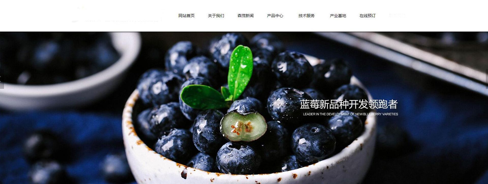 广告