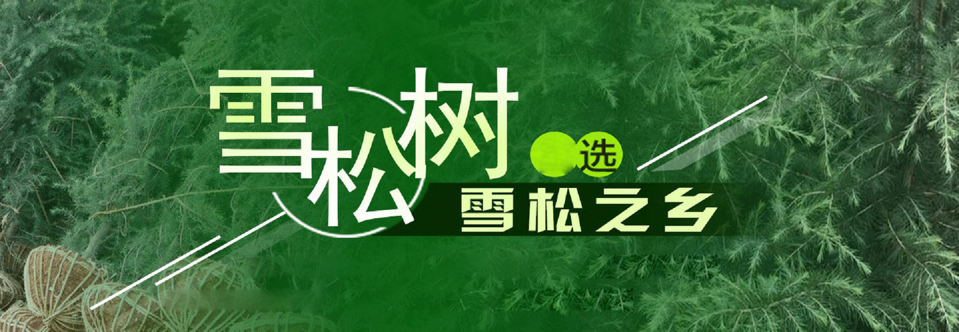 广告