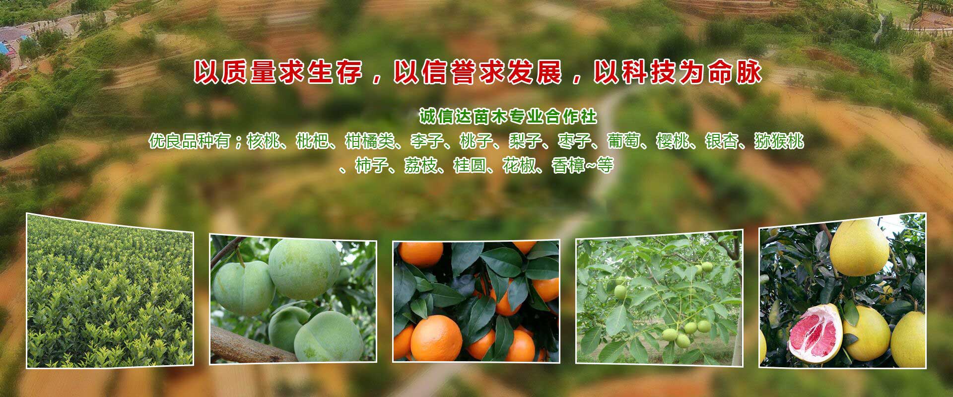 广告