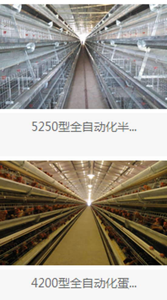 1444967624369729.png