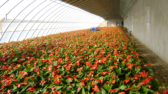 1444977839882538.jpg